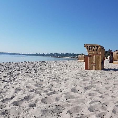 Zwergtaucher Eckernförde Exteriér fotografie