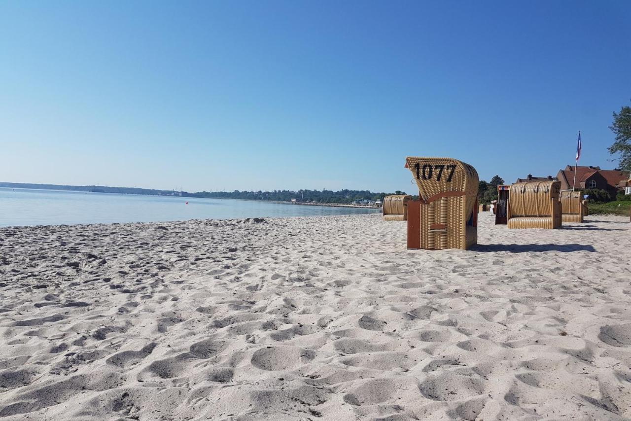 Zwergtaucher Eckernförde Exteriér fotografie